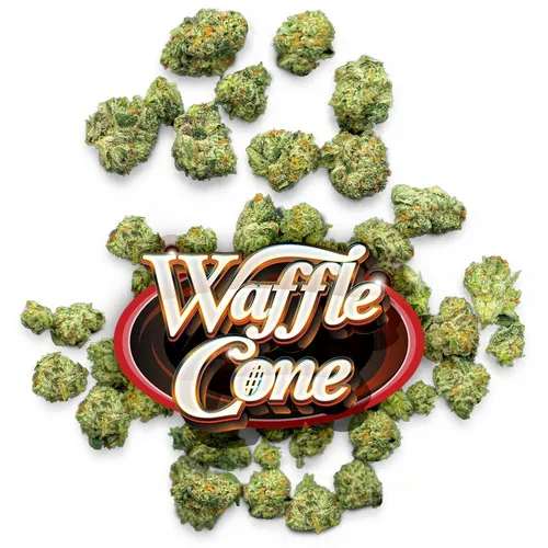 image of Waffle Cone - Pops