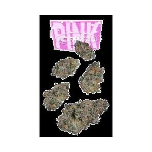 Pink Certz #10 7g Juniors