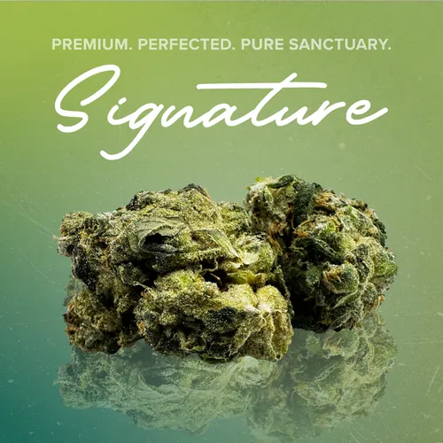 Chem91 Signature - 3.5g by Sanctuary Signature - 3.500g Whole