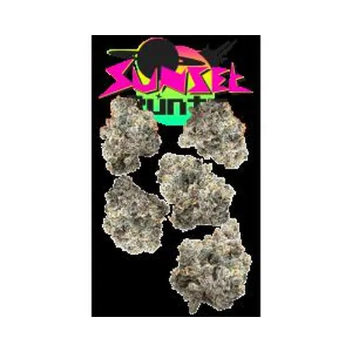 Sunset Runtz 7g Juniors