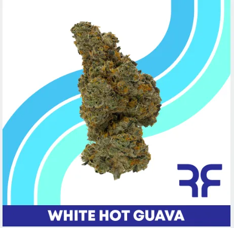 White Hot Guava - 