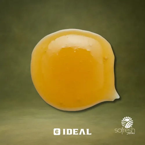 GMO by Ideal Cannabis - 1.000g Live Rosin