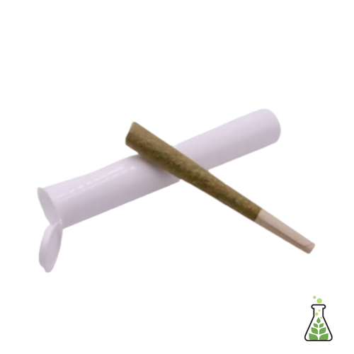 Space Center l 1g Pre-Roll - 