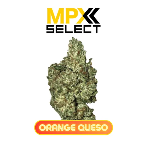 MPX Select™ Orange Queso Flower from  product image