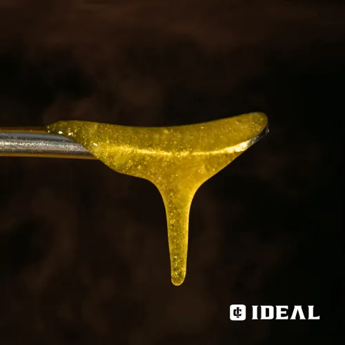 image of Hash Burger