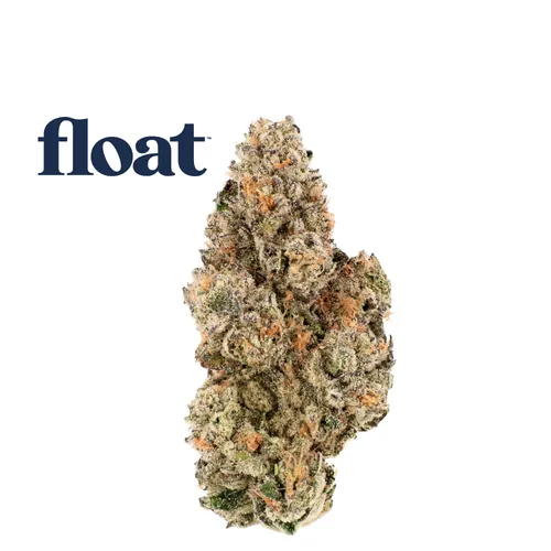 Alleged Orbit from  product image