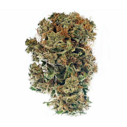 Frosty MLN Pre-Ground by Green Dragon - 14.000g Ground