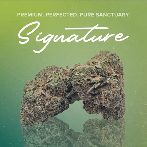 Hash Burger Signature - 3.5g from  product image