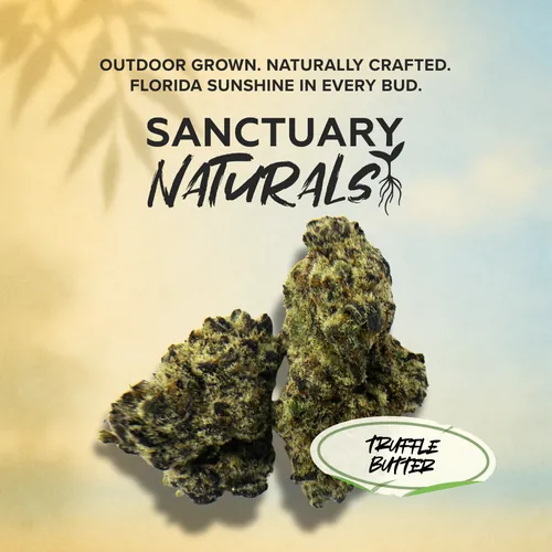 0.5 Truffle Butter Resin All-in-One -  cannabis product