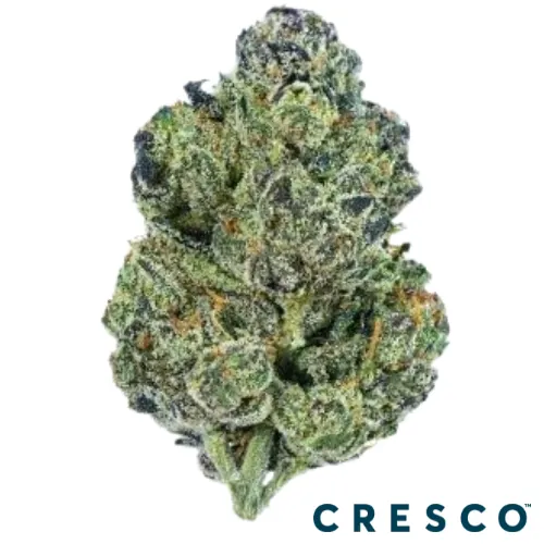 {'strain': 'Gastro Pop 5', 'strain_type': 'Sativa', 'company': 'Sunnyside', 'brand': 'Cresco', 'price': Decimal('23.00'), 'regular_price': Decimal('39.00'), 'thc': Decimal('25.43'), 'cbd': Decimal('0.11'), 'terps': Decimal('0.00'), 'grams': Decimal('3.500'), 'dollars_per_thcg': Decimal('25.840'), 'dollars_per_g': Decimal('6.570'), 'product_format': 'Flower', 'product_sub_format': 'Whole', 'dispensary_cities': ['Saint Petersburg'], 'main_url': 'https://www.sunnyside.shop/product/5096015', 'display_image_url': 'https://thchunter-images.s3.us-east-2.amazonaws.com/product_images/5e4877ba-2301-427d-bc30-79176f7f62b1.webp', 'id': 12366336, 'company_logo_file': 'Sunnyside.jpg', 'company__premium_company': False, 'company__name': 'Sunnyside'}