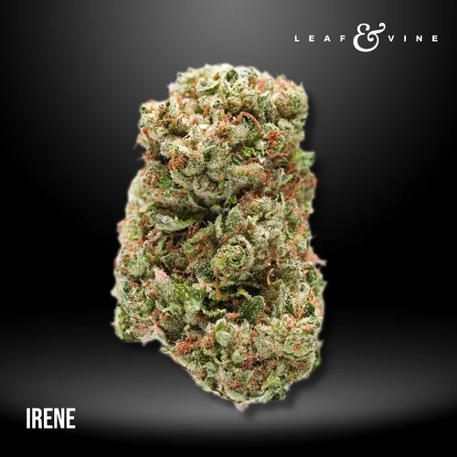 Irene Tier 1 from  product image
