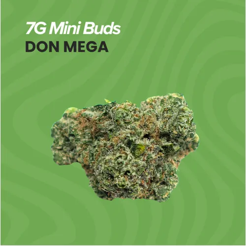 Mini Buds - Don Mega - 