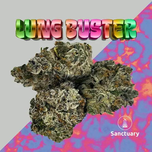 Sanctuary Naturals Lung Buster by Sanctuary Cannabis - 3.500g Whole