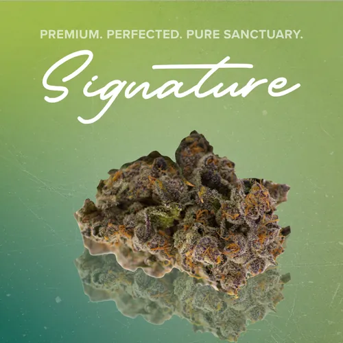 Head Mount Signature - 3.5g by Sanctuary Signature - 3.500g Unknown