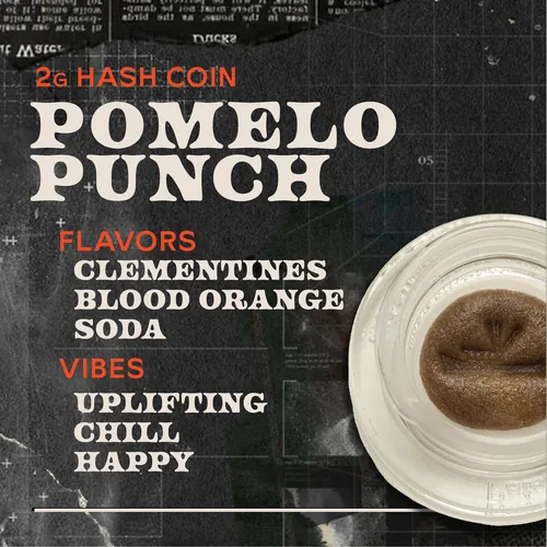 image of Pomelo Punch - 2g Hash Coins Concentrate