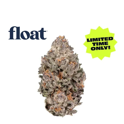 Grand Nug Supreme - 