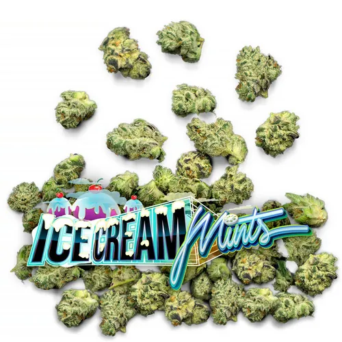 Ice Cream Mints - Pops by Jungle Boys - 7.000g Smalls