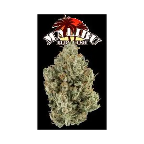 Malibu Pure Kush Eighth (Glass Jar) by The Flowery - 3.500g Whole