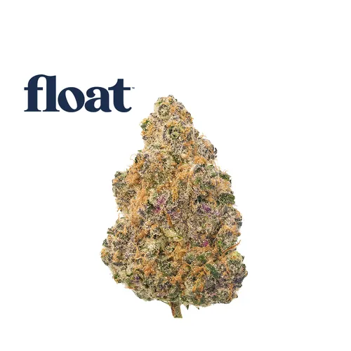 Super Boof from  product image