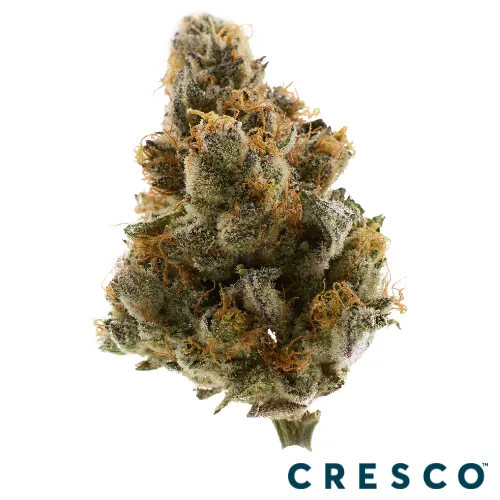 Supply Smalls 14g - Mookie (H) by Supply - 14.000g Smalls