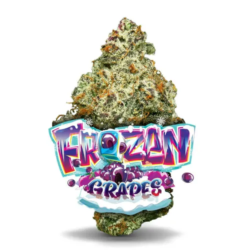 Frozen Grapes Premium - 