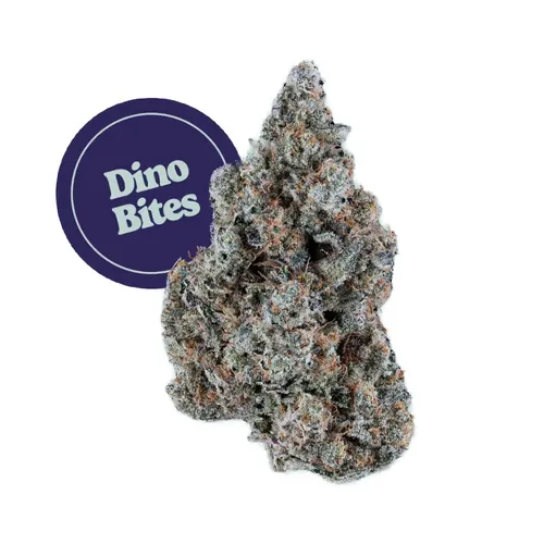 Dino Bites Smalls by Kind Tree - 7.000g Smalls