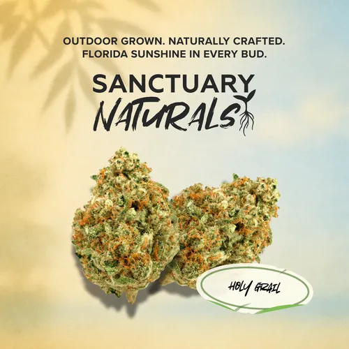 Crumble Holy Grail - 