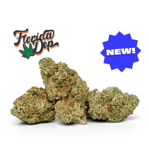 Hindu Rootbeer by Florida Dep - 3.500g Whole