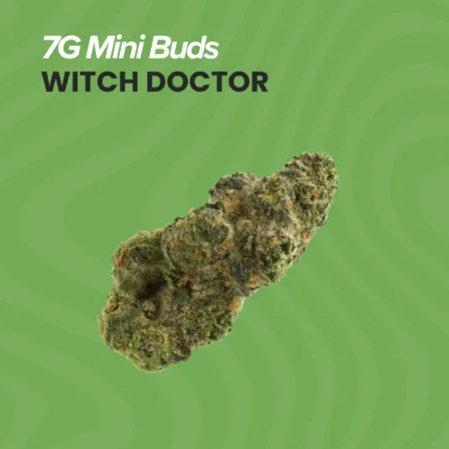 Buds Witch Doctor - 