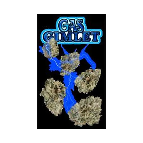 Gas Gimlet 7g Juniors by Wizard Trees - 7.000g Whole