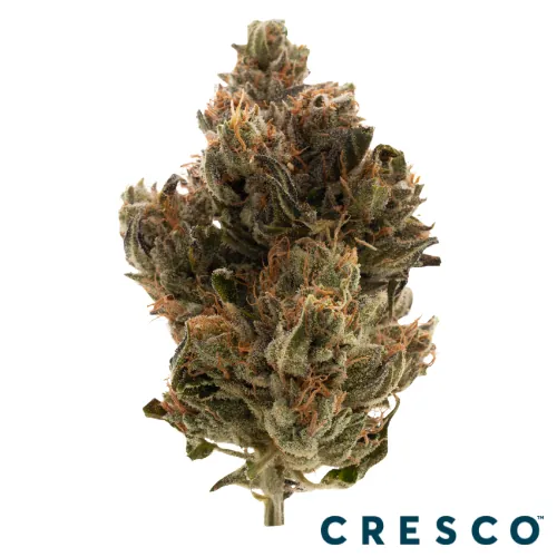 Supply Smalls 14g - Double OG Chem (H) by Supply - 14.000g Smalls