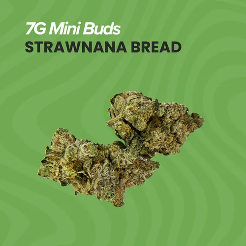 Strawnana Bread Mini Buds - 7g by Sanctuary Medicinals - 7.000g Smalls