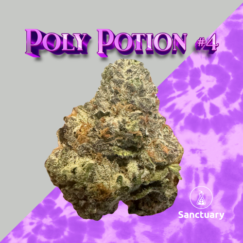 Polyjuice Potion #4 - 