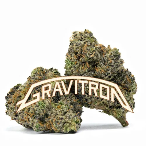 Gravitron from  product image