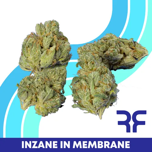  from  product image