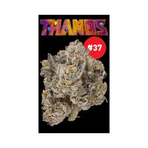 Thanos 37 Eighth - 