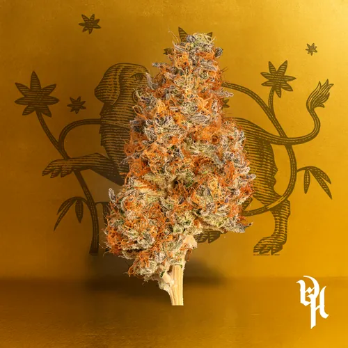 ZoapZ #2 by Doghouse - 3.500g Whole