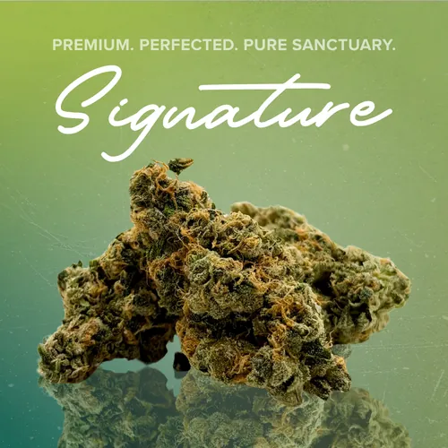 Jungle Grapes Signature - 3.5g from  product image