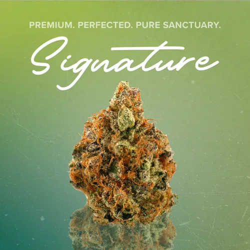 Lemon Meringue Signature - 3.5g from  product image