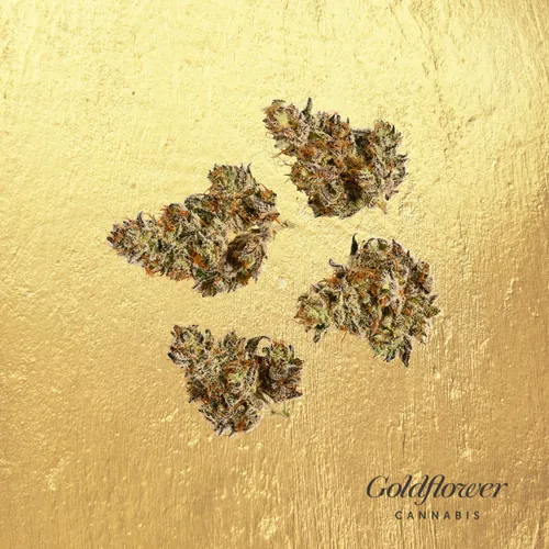 Black Brulee by Goldflower - 3.500g Smalls