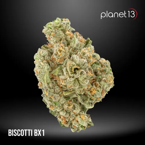 Biscotti Bx1  3.5g Jar Tier 1 from  product image