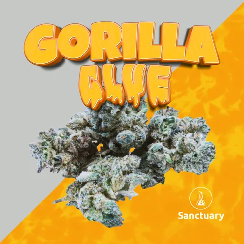 Gorilla Glue - 