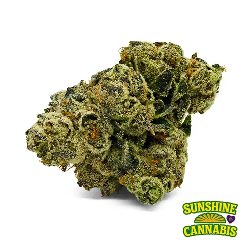 Sun Cake - Whole Flower 3.5G from  product image