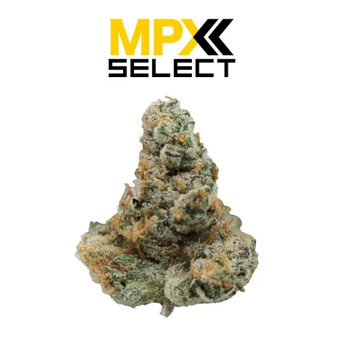 {'strain': 'MPX Select Skunk Flower', 'strain_type': 'Hybrid', 'company': 'GrowHealthy', 'brand': 'MPX Select Flower', 'price': Decimal('40.00'), 'regular_price': Decimal('50.00'), 'thc': Decimal('31.30'), 'cbd': Decimal('0.00'), 'terps': Decimal('0.00'), 'grams': Decimal('3.500'), 'dollars_per_thcg': Decimal('36.510'), 'dollars_per_g': Decimal('11.430'), 'product_format': 'Flower', 'product_sub_format': 'Whole', 'dispensary_cities': ['Stuart'], 'main_url': 'https://growhealthy.com/product/mpx-select-skunk-flower/?retailer_id=05aa6bc3-0951-46d0-8e95-4955935dce29', 'display_image_url': 'https://thchunter-images.s3.us-east-2.amazonaws.com/product_images/678b6039-4884-47e2-afcd-bbca77c337c0.webp', 'id': 12742505, 'company_logo_file': 'Grow-Healthy.jpg', 'company__premium_company': True, 'company__name': 'GrowHealthy'}