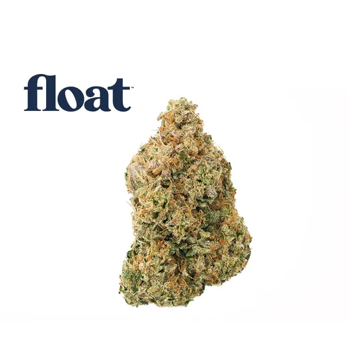  from  product image