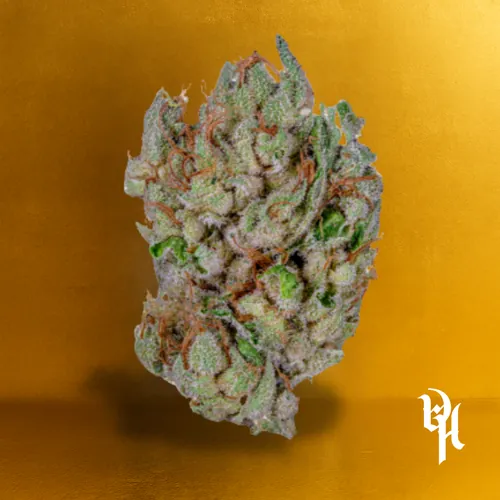 Ghost OG - 