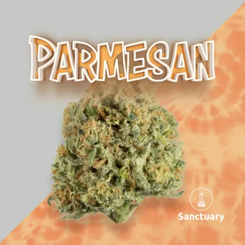 Parmesan - 