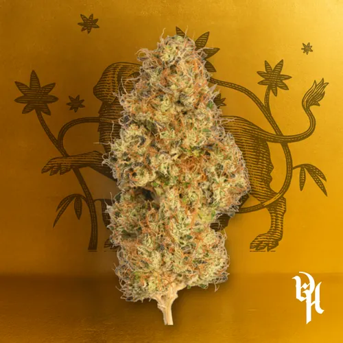 Watermelon Gelato -  cannabis product