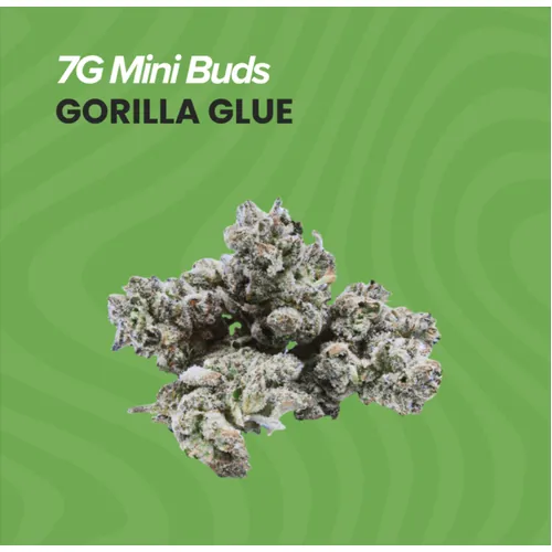 image of 7g Mini Buds - Gorilla Glue