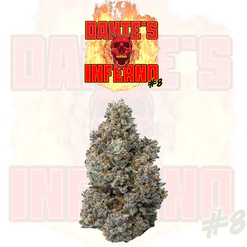 Dante's Inferno #8 Tier 3 - 